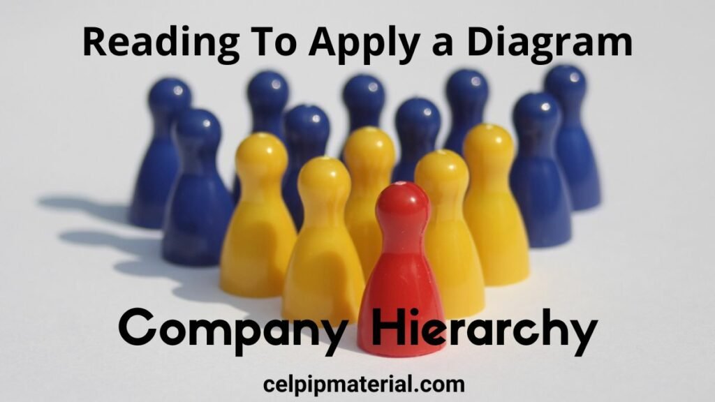 CELPIP Reading Apply a Diagram Company Hierarchy