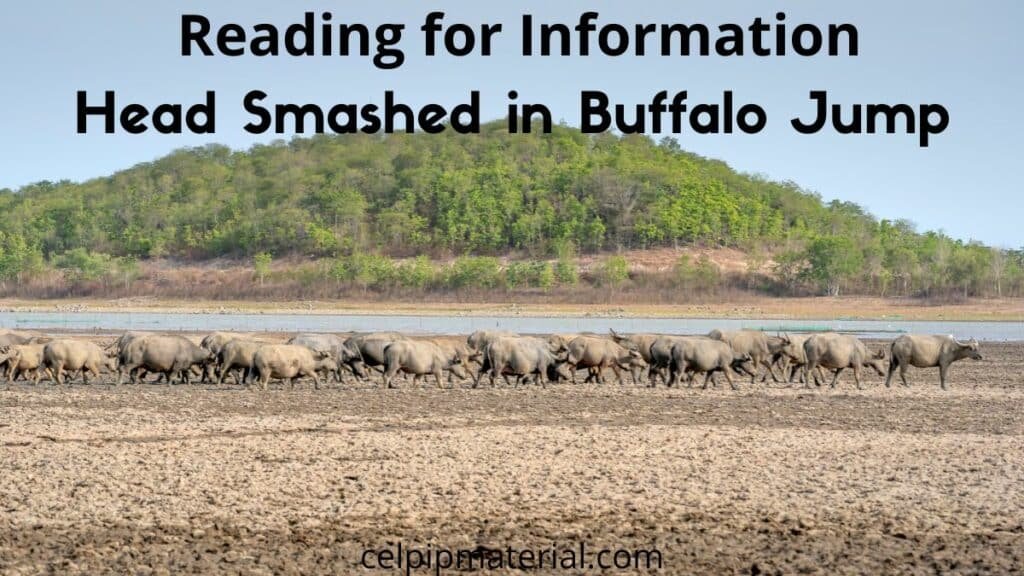 CELPIP Reading for Information Head Smashed In Buffalo Jump